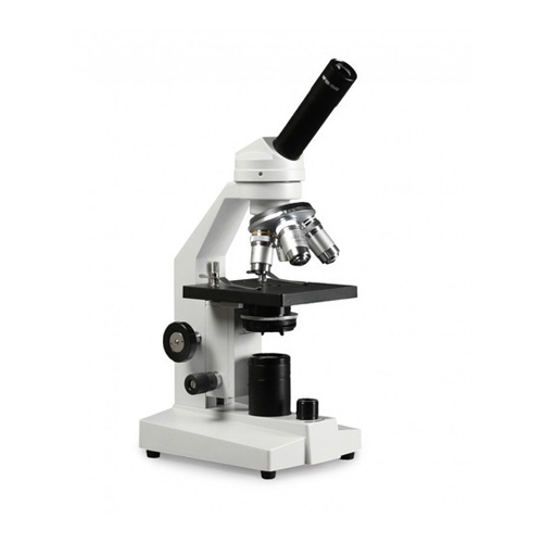 Compound Microscope